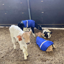 Cargar imagen en el visor de la galería, Chaleco termico impermeable para la retencion de energia calorica en terneros recin nacidos