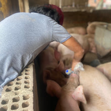 Cargar imagen en el visor de la galería, MEDIDOR DE GRASA DORSAL