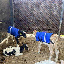 Cargar imagen en el visor de la galería, CHALECO TÉRMICO IMPERMEABLE ESTANDAR