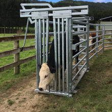 Cargar imagen en el visor de la galería, BALANZA JAULA CON BRETE