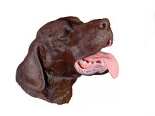 Cargar imagen en el visor de la galería, SIMULADORA DE OPERACIÓN DENTARIA CANINA