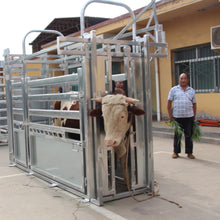 Cargar imagen en el visor de la galería, BALANZA JAULA CON BRETE AHP450