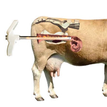 Cargar imagen en el visor de la galería, KIT DE INSEMINACIÓN ARTIFICIAL CON PANTALLA DIGITAL