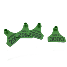 Cargar imagen en el visor de la galería, HEMBRA MEDIANO DE 60MM X 58MM