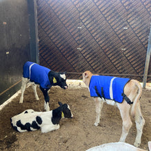 Cargar imagen en el visor de la galería, Copia de CHALECO TÉRMICO IMPERMEABLE JUNIOR