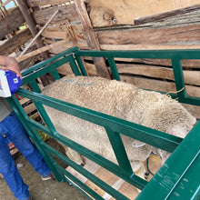 Cargar imagen en el visor de la galería, BALANZA JAULA