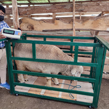 Cargar imagen en el visor de la galería, BALANZA JAULA