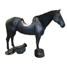 Cargar imagen en el visor de la galería, SIMULADOR CORPORAL EQUINA