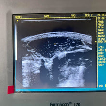 Cargar imagen en el visor de la galería, ECÓGRAFO MULTIESPECIES FARMSCAM L70