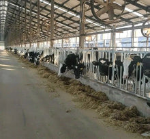 Cargar imagen en el visor de la galería, GUILLOTINA DE AUTOBLOQUEO