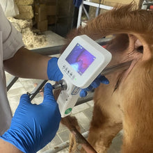 Cargar imagen en el visor de la galería, KIT DE INSEMINACIÓN ARTIFICIAL CON PANTALLA DIGITAL
