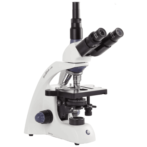 Microscópio de la Linea Euromex  Objetivos oculares acromáticos de 4x, 10x, 40x y 100x (Oil).