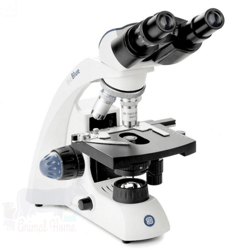 Equipo de microscopia para observacion de muestras con rango de aumento de 40x a 1000x